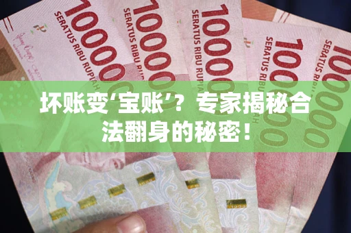 北京坏账变‘宝账’？专家揭秘合法翻身的秘密！
