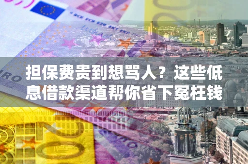 北京担保费贵到想骂人？这些低息借款渠道帮你省下冤枉钱