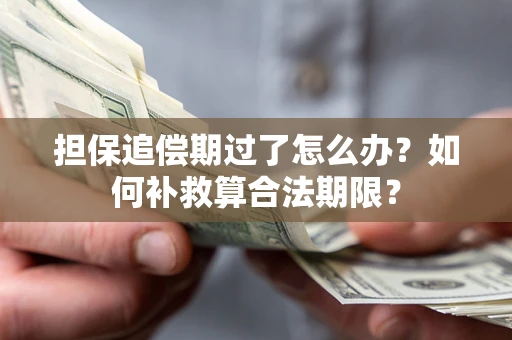 北京担保追偿期过了怎么办？如何补救算合法期限？
