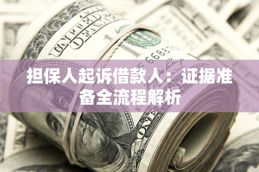 北京担保人起诉借款人：证据准备全流程解析