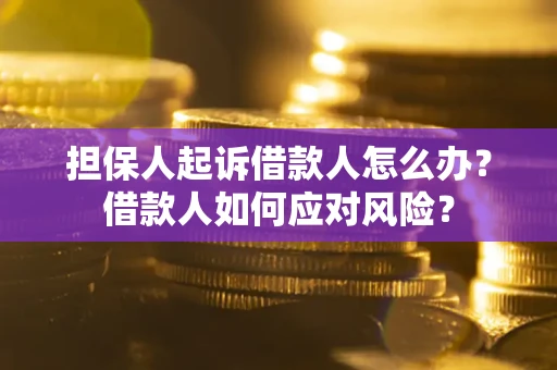 北京担保人起诉借款人怎么办？借款人如何应对风险？