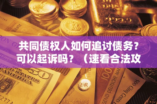 北京共同债权人如何追讨债务？可以起诉吗？（速看合法攻略）